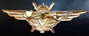 Знак Военный летчик 1 класса.