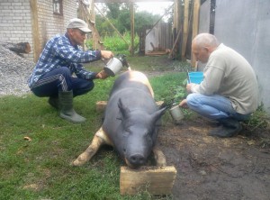 ОБМОРОЧНЫМ НЕ ВХОДИТЬ-(или про ЭТО).