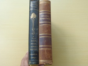 Две книги -1900 года