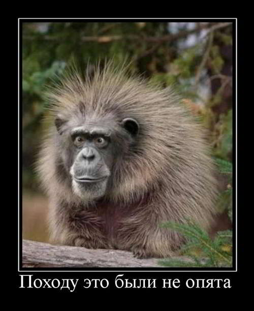 Удаление модератором сообщений про оригинальность лота..