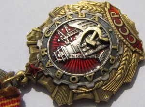 Орден Трудовой Славы 1 степени.