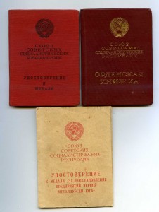 Труд. ком-кт  на Меркулова  ЗП и ТКЗ плоск.+ ЮГ