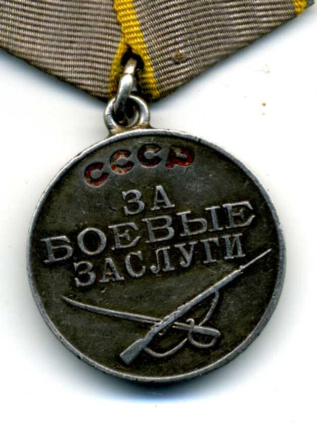 Комплект Бирюкова