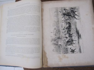 Золотая книга франко русского альянса 1890х