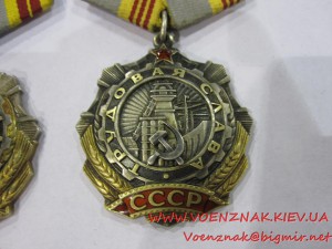 Трудовая Слава 2й и 3й ст.,предположительно на одного....