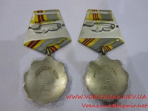Трудовая Слава 2й и 3й ст.,предположительно на одного....
