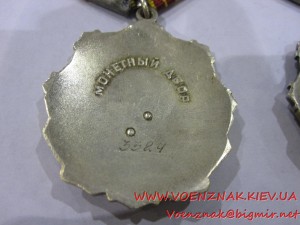 Трудовая Слава 2й и 3й ст.,предположительно на одного....