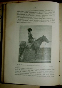 Конница. Теория Верховой езды. 1907