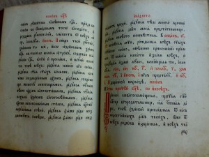 книга часовник