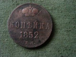 Солянка медная