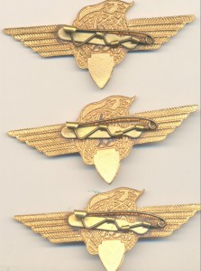 Класстность. Летчик - космонавт.