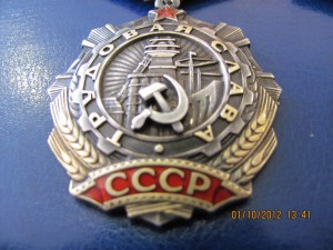 Трудовая Слава 2,3 Степени на доках