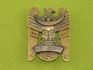 Силезский орел 1-го класса + фото кавалера.