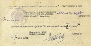 Комплект - на Гв.Капитана 57 Истребительного Авиа Полка