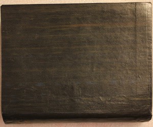 Спутник по Казани 1895г.