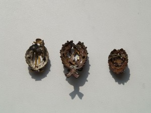 кокарды, фрачники?