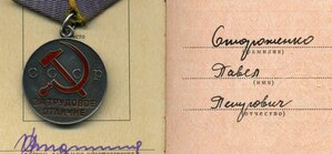 За трудовое отличие с документом