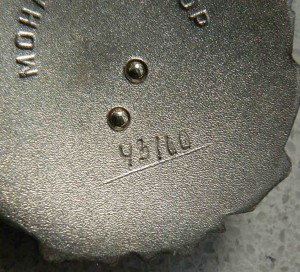 Трудовая слава второй степени.