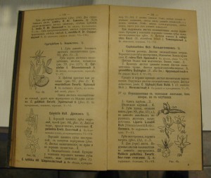 Определитель растений(Ростовцев)1913г.