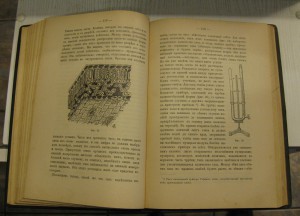 Жизнь растения ( К.А. Тимирязев) 1905г.