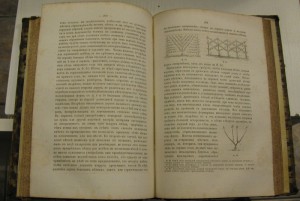 Хозяйственный плодовый сад М. Мицуля 1870г.