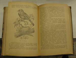 Певчие птицы ( Л.Б. Беме)