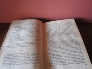 Пётръ Красновъ "Амазонка пустыни"