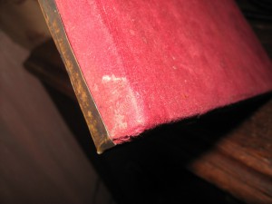 Икона Преподобный Серафим Саровский Чудотворец