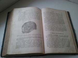 Патологии и Терапии ЭЙХГОРСТЪ 1892г
