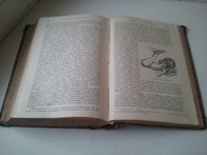 УЧЕБНИКЪ АКУШЕРСТВА