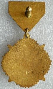 медаль "Наша Победа"(№53)