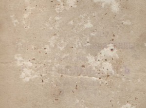 Дамы.Фотограф Государыни Императрицы.