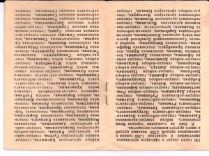 БЛАГОДАРНОСТЬ (ВЕНА)