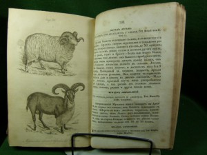 Естественная история для юношества. 1849г.