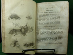 Естественная история для юношества. 1849г.