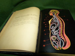 Учебник зоологии. 1905г.