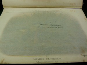 Охотничьи и промысловые птицы. Атлас. 1902г. Мензбир М.А.