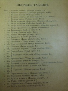 Охотничьи и промысловые птицы. Атлас. 1902г. Мензбир М.А.