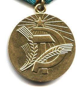 Нечерноземье - петлеобразное ушко