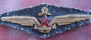 Нашивка шитьё.