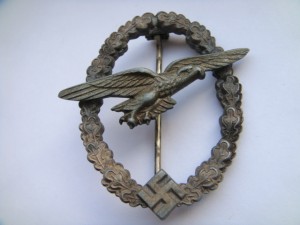 Планерист в домике