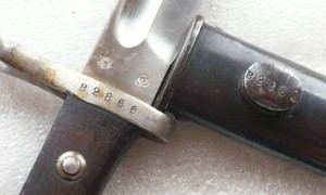 Чили, маузер, парник.