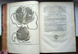 1734 г. Важнейшие наблюдения в акушерстве с гравюрами, Париж