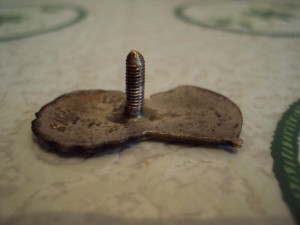 ОСС лесного хозяйства