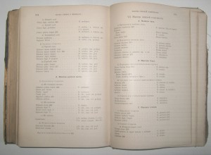 Основы Анатомии Человека. А.Панш 1888