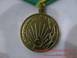 Комплект: 2 медали "За освобождение цылинных земель",с д....