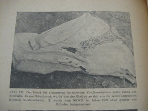 Книга о зверствах большевиков  в Виннице изд. Рейха 1944г.