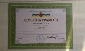 Воен-труд:ТС2+3+Вена+Будапешт+КЗ+++