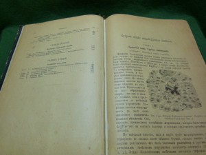 Учебник частной патологии и терапии 1897г. Штрюмпель Адольф.