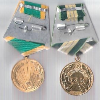 БАМ и целина